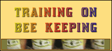 Training on Bee Keeping